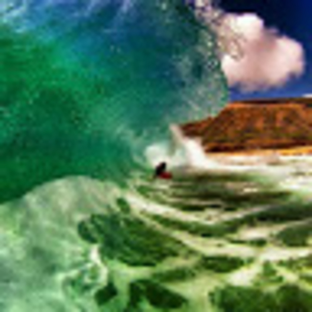 Meet your Posher, Emilia